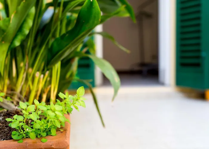 Casa Garisenda By Wonderful Italy * Bolonya